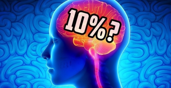 هل صحيح أنّ الانسان يستخدم 10% فقط من قدرة دماغه؟-وهم رقم 77