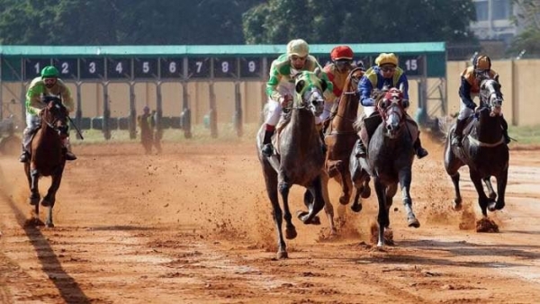 Horse racing betting in Beirut