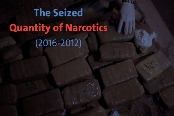 The Seized Quantity of Narcotics