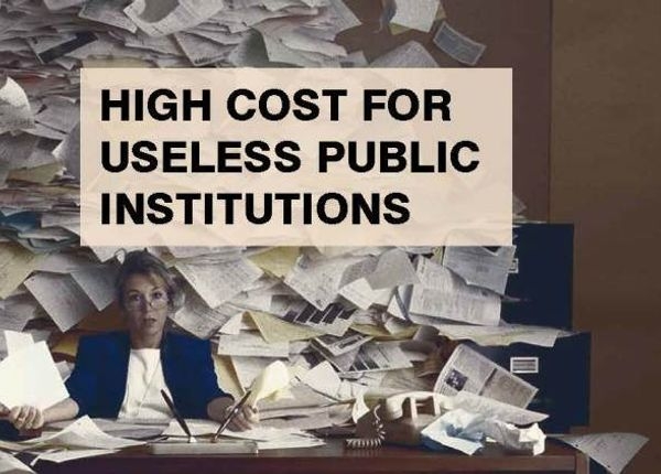 High cost for useless public institutions