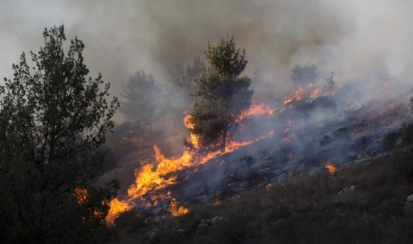 حرائق غابات لبنان: متى الإنقاذ